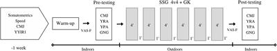 Neuromuscular and perceptual-cognitive response to 4v4 small-sided game in youth soccer players